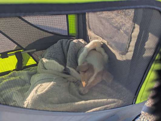 Anpassen bei Minusgraden-Beitrag-Bild