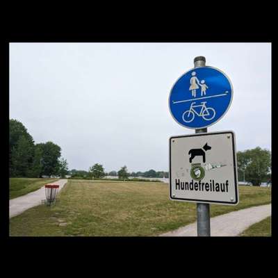 Hundeauslaufgebiet-Freilauffläche am Allersee-Bild