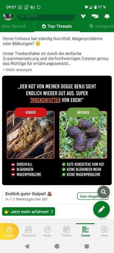 Fast schwarzer Kot-Beitrag-Bild