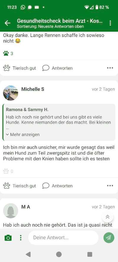 Warum müssen Mischlinge jetzt so klangvolle "Rassebezeichnungen" haben?-Beitrag-Bild