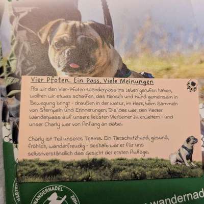 Qualzucht - Warum Aufklärung alleine nicht reicht-Beitrag-Bild