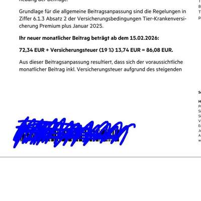 Zwergpudel-Welpe mit Zahnfehlstellung – eure Einschätzung? Versicherung & Gesundheitscheck?-Beitrag-Bild