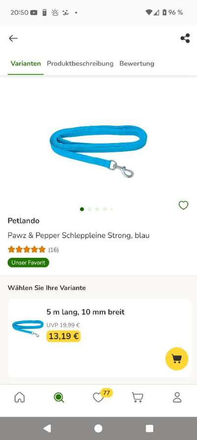 Verhalten an der Leine im Freizeitmodus-Beitrag-Bild