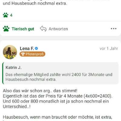 Online Coaching Steve Kaye-Beitrag-Bild