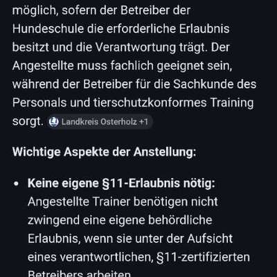 Hundetrainer – Der Joker/Die Rettung?-Beitrag-Bild