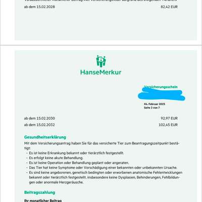 Zwergpudel-Welpe mit Zahnfehlstellung – eure Einschätzung? Versicherung & Gesundheitscheck?-Beitrag-Bild