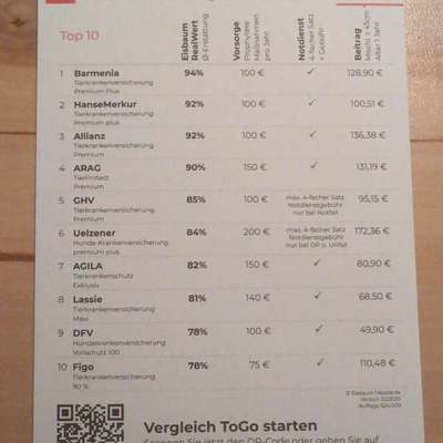 Hundekrankenversicherung-Beitrag-Bild