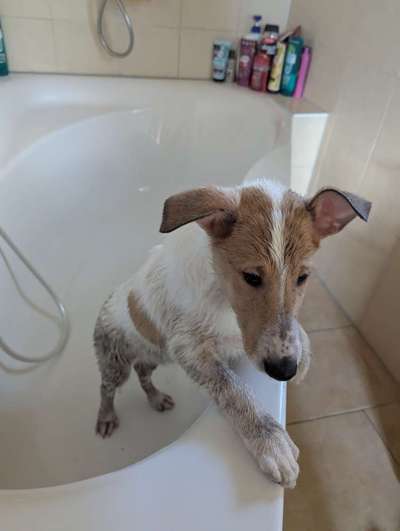 Das erste Bad?-Beitrag-Bild