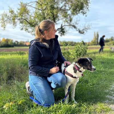 Hundetreffen-Suche Gassigruppe zum Spielen und Toben