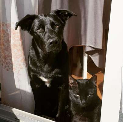 CHALLENGE Nr.17-Beitrag-Bild