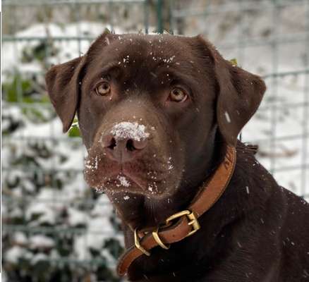 Fotochallange Nr. 57     PORTRÄT.   Beendet!!!!!!!!-Beitrag-Bild