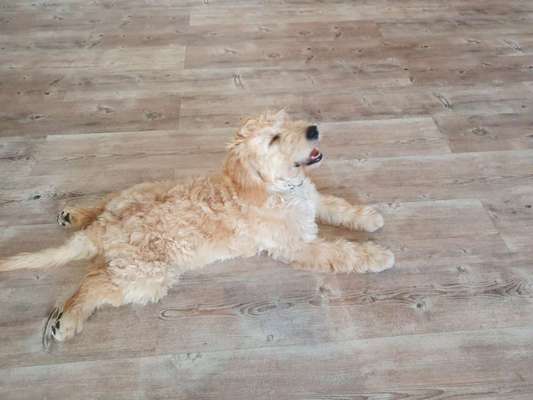 Handy-Foto Challange Nr. 10-Beitrag-Bild