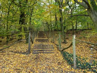 Hundeauslaufgebiet-Grunewald West-Bild