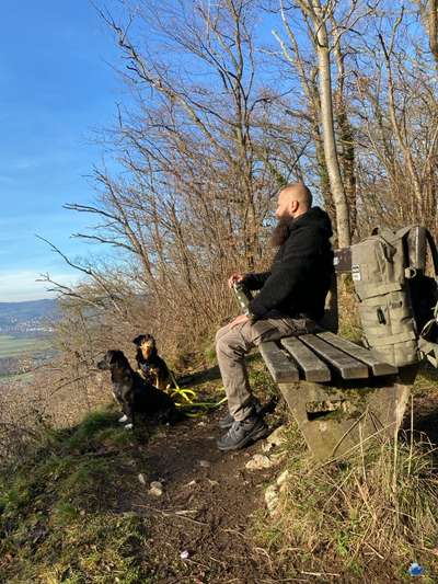 Hundetreffen-Obernzenn; Runde um den See-Bild