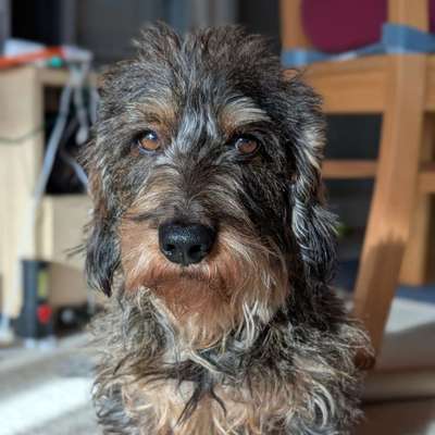 Christine's Profilbild