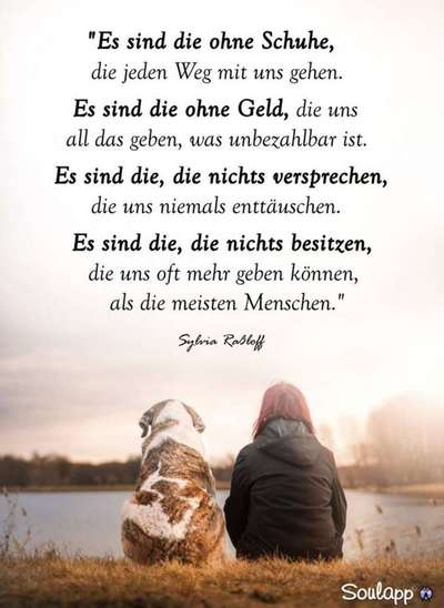 Hunde sprüche-Beitrag-Bild