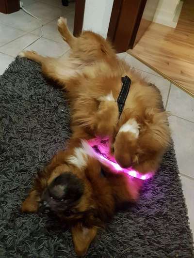 Lieblings Schnappschuss?-Beitrag-Bild