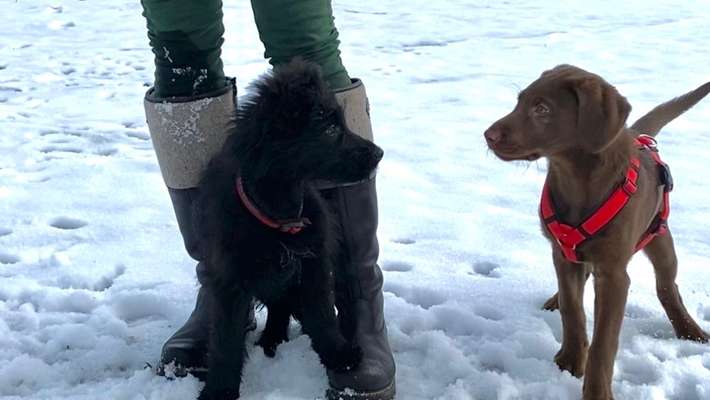 Fotochallenge Nr. 62 Romantische Momente-Beitrag-Bild