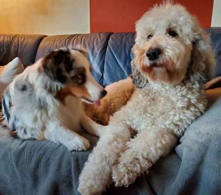 Freddys Kummerkasten-Beitrag-Bild