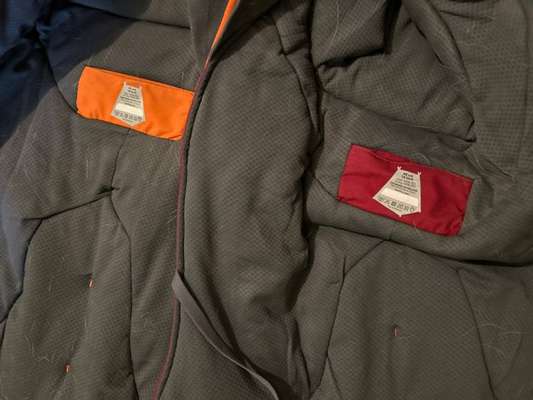 Hundekleidung - Top oder Flop-Beitrag-Bild