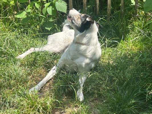 Zeigt eure schönsten Sommerbilder-Beitrag-Bild