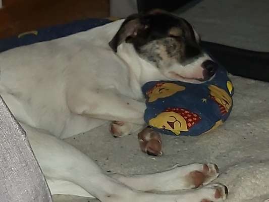 42. Collage Challenge - Ruheplatz-Beitrag-Bild