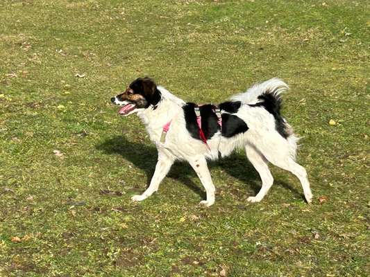 Zeigt eure schönsten Sommerbilder-Beitrag-Bild