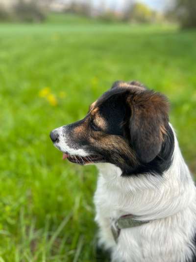 Zeigt eure schönsten Sommerbilder-Beitrag-Bild