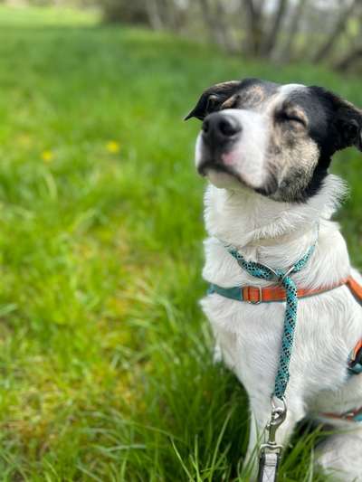 17. Farben Foto Challenge: Pastellfarben-Beitrag-Bild