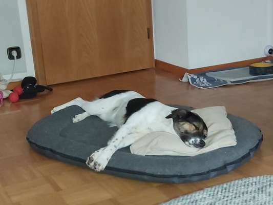 42. Collage Challenge - Ruheplatz-Beitrag-Bild