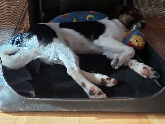 42. Collage Challenge - Ruheplatz-Beitrag-Bild