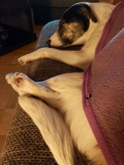 Foto Challange Nr.80-Beitrag-Bild