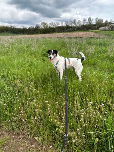 Zeigt eure schönsten Sommerbilder-Beitrag-Bild