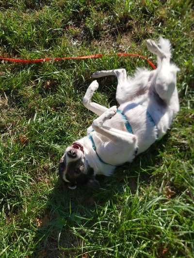 Zeigt eure schönsten Sommerbilder-Beitrag-Bild