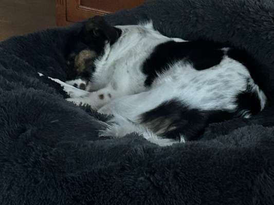 Erfahrung mit Wolkenbett-Beitrag-Bild