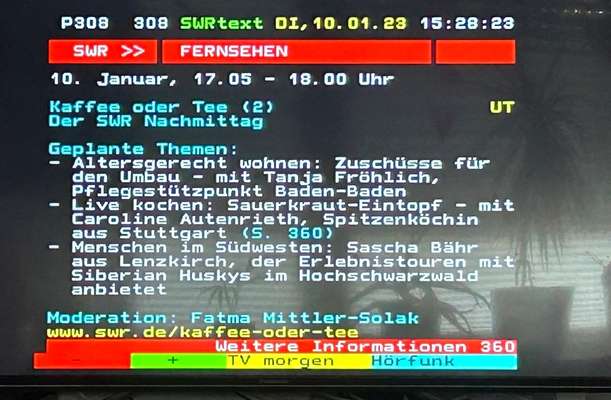 Hundeschlittenrennen und Training im Sommer-Beitrag-Bild