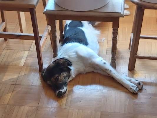 42. Collage Challenge - Ruheplatz-Beitrag-Bild