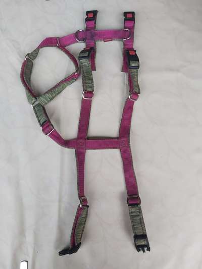 Ein Geschirr bitte...-Beitrag-Bild