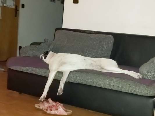 42. Collage Challenge - Ruheplatz-Beitrag-Bild