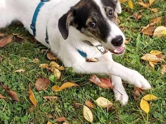 Un...scharf Bilder-Beitrag-Bild