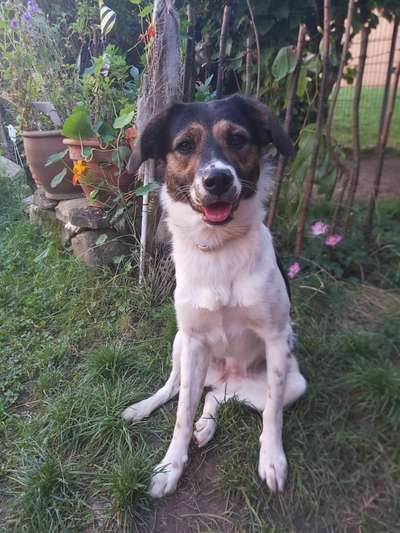 Zeigt eure schönsten Sommerbilder-Beitrag-Bild