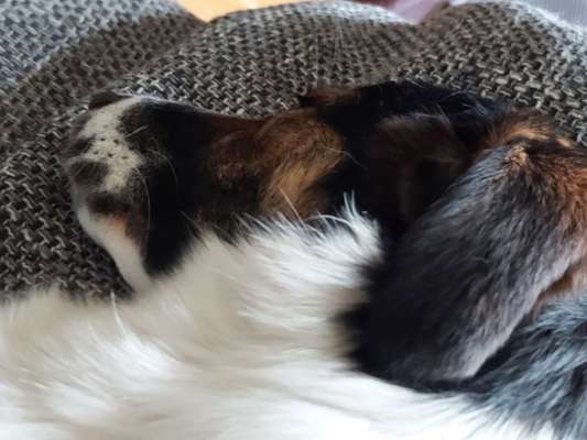 Foto Challange Nr.80-Beitrag-Bild