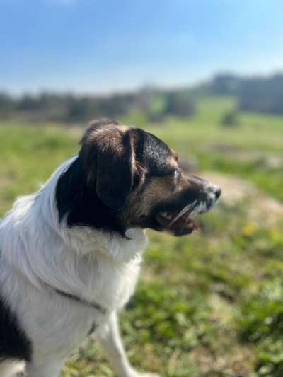 17. Farben Foto Challenge: Pastellfarben-Beitrag-Bild