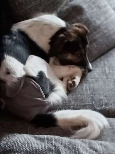 Un...scharf Bilder-Beitrag-Bild