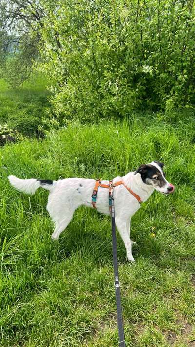 Zeigt eure schönsten Sommerbilder-Beitrag-Bild