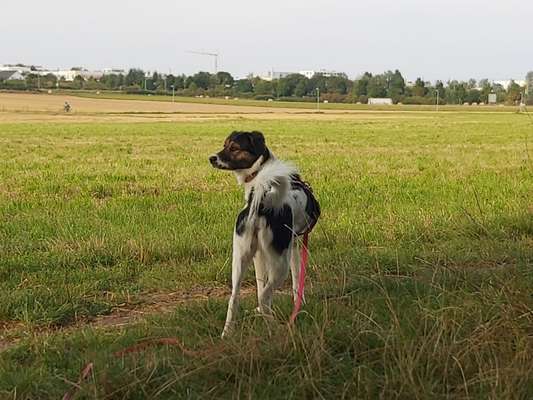 Zeigt eure schönsten Sommerbilder-Beitrag-Bild