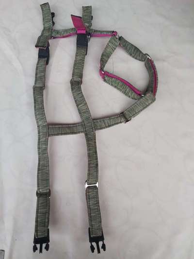 Hundegeschirr-Beitrag-Bild