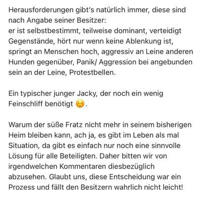 Verdacht auf illegalen Welpenhandel - wo melden?-Beitrag-Bild