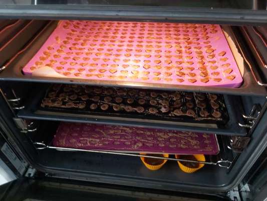 Heute gibt es.....der "ich mach die Leckerlis-Selber-Thread"-Beitrag-Bild