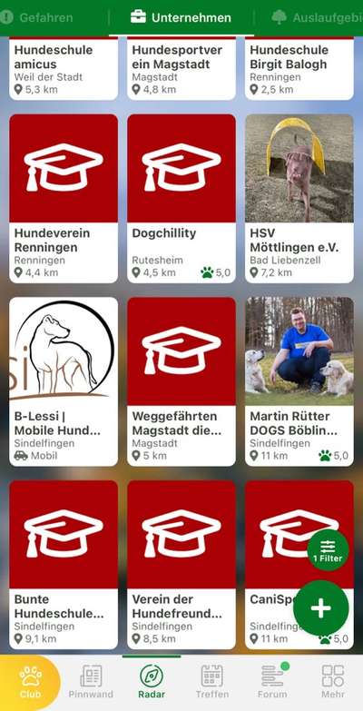 Hundetrainer für schwierige Hunde gesucht-Beitrag-Bild